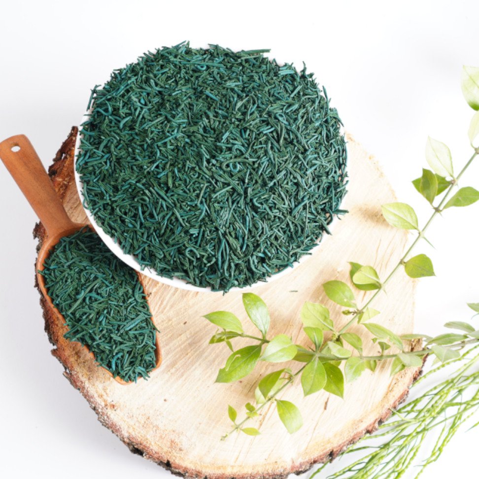 Spirulina Noodles