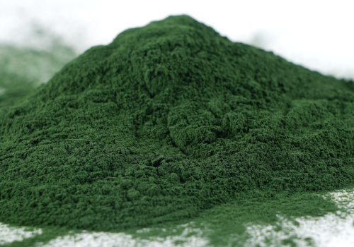 spirulina powder